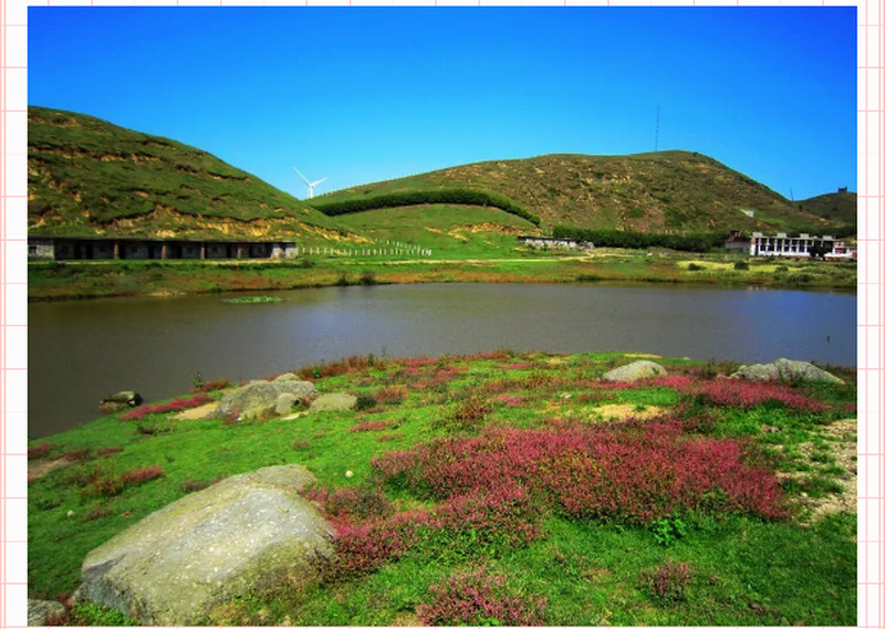 【心靈自駕】‖我不是“藥神”‖但是我這可以安放你那放蕩不羈的心。_門(mén)票預(yù)訂